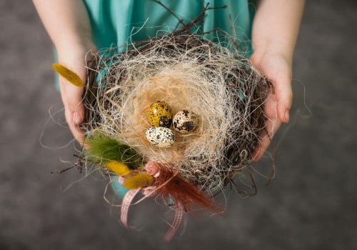 Bird's Nest Custody Arrangements - A Comprehensive Overview